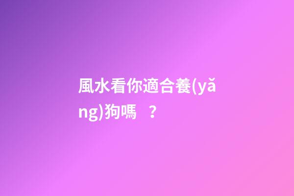 風水看你適合養(yǎng)狗嗎？